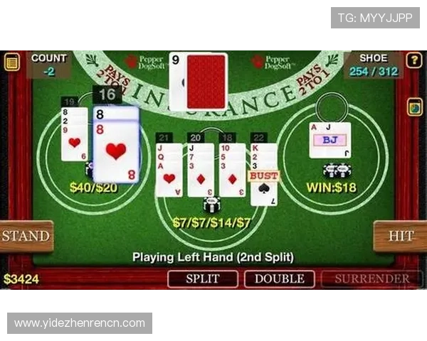 百家乐怎么玩最高效:掌握这些技巧让你赢在起点